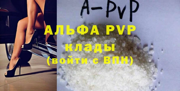 гашик Вязьма