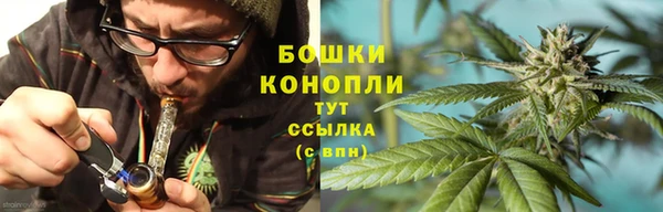 гашик Вязьма