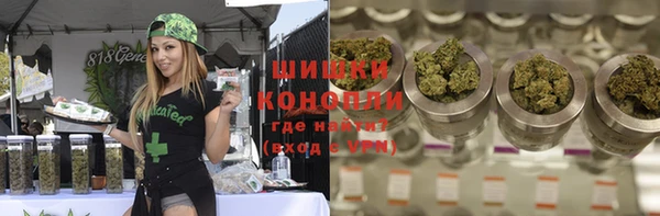 гашик Вязьма