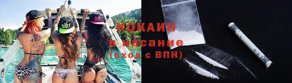 гашик Вязьма