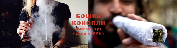 гашик Вязьма