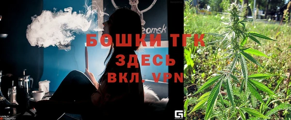 скорость Вяземский