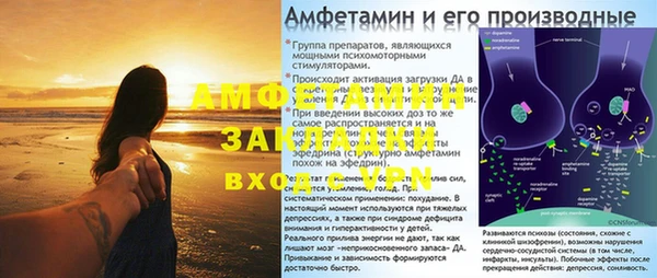 скорость Вяземский