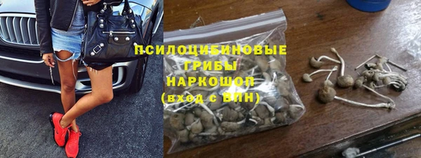 гашик Вязьма