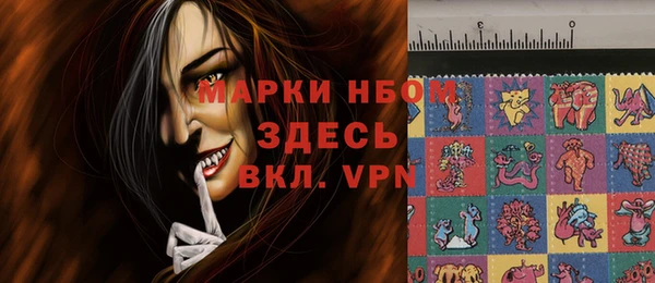 гашик Вязьма
