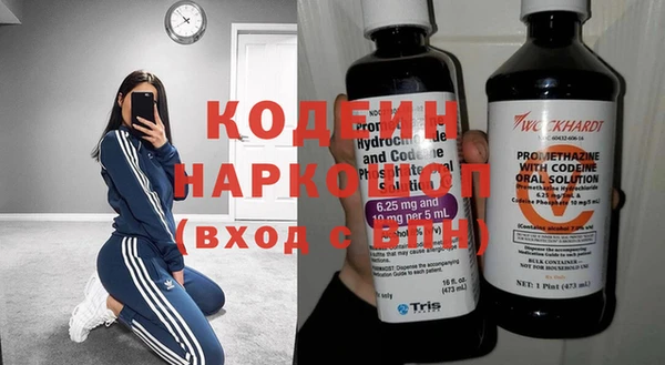 гашик Вязьма