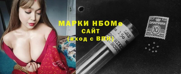 гашик Вязьма