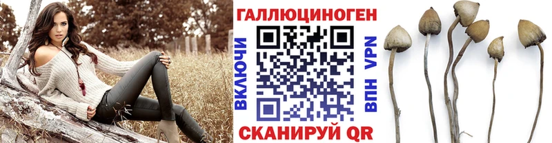 Псилоцибиновые грибы Magic Shrooms  купить закладку  Липецк 
